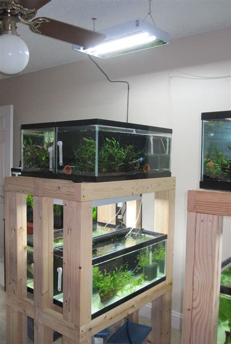 diy fish tank